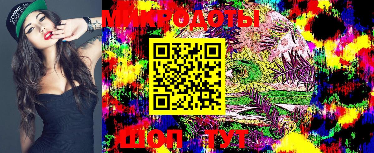 Псилоцибиновые грибы Cubensis  Вход с VPN  Галлюциногенные грибы мухоморы  Санкт-Петербург 