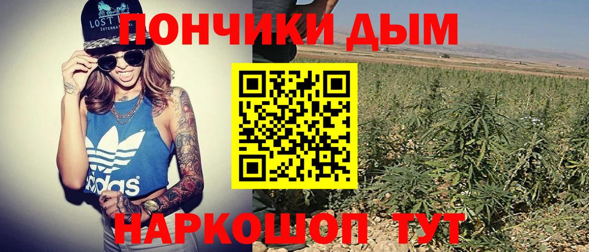 Бошки марихуана SATIVA & INDICA  Шишки марихуана Amnesia  Санкт-Петербург  Канабис ГИДРОПОН  Вход с VPN 